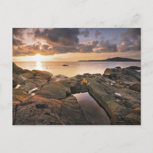 Carte Postale États-Unis, Washington, îles San Juan. Un spectac (Devant)