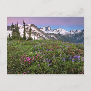 Carte Postale États-Unis, Washington, montagnes Cascade, Nord