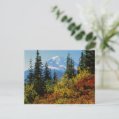 Carte Postale États-Unis, Washington, Mt. Rainier National Park  (Debout devant)