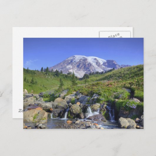 Carte Postale États-Unis, Washington, Mt. Rainier NP, Mt. Rainie (Devant / Derrière)