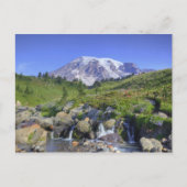 Carte Postale États-Unis, Washington, Mt. Rainier NP, Mt. Rainie (Devant)