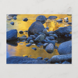 Carte Postale États-Unis, Washington, Okanogan-Wenatchee Nationa