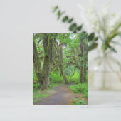 Carte Postale États-Unis, Washington, Parc National Olympique, H (Debout devant)