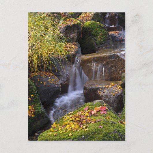Carte Postale États-Unis, Washington, Seattle (Devant)