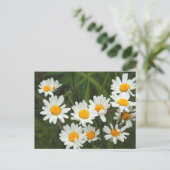 Carte Postale États-Unis, Washington, Seattle, Puget Sound 3 (Debout devant)