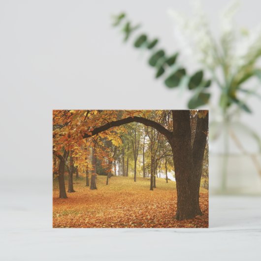 Carte Postale États-Unis, Washington, Spokane, Manito Park, auto (Debout devant)