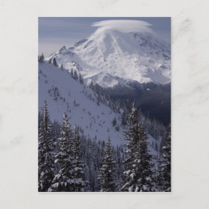 Carte Postale États-Unis, Washington, vue sur le mont Rainier