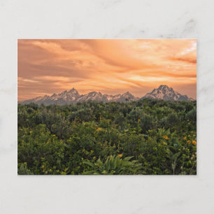 Carte Postale États-Unis, Wyoming, Grand Teton National Park 1