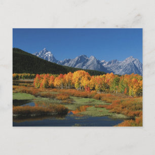 Carte Postale États-Unis, Wyoming, Grand Tetons National Park à