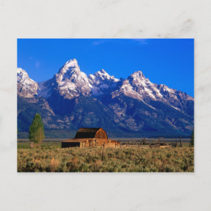 Carte Postale États-Unis, Wyoming, Parc national de Grand Teton,