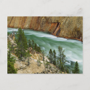 Carte Postale États-Unis, Wyoming, Parc national de Yellowstone
