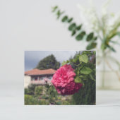 Carte postale été (Debout devant)