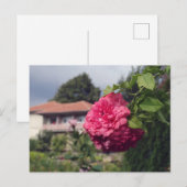 Carte postale été (Devant / Derrière)