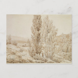 Carte Postale Été