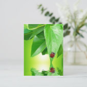 Carte postale été (Debout devant)