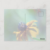 Carte Postale Été (Dos)