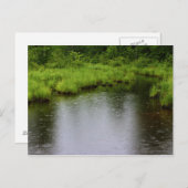 Carte Postale Été 2016 de gouttes de pluie (Devant / Derrière)