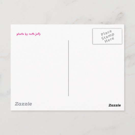 Carte postale été Abstraite (Dos)