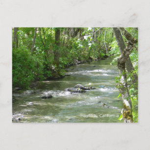 Carte Postale Été Amusant...