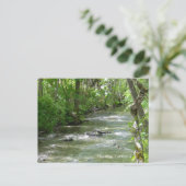 Carte Postale Été Amusant... (Debout devant)