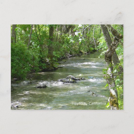 Carte Postale Été Amusant... (Devant)