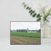 Carte Postale ~ Été dans le comté de Lancaster ~ 10 (Debout devant)