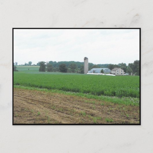 Carte Postale ~ Été dans le comté de Lancaster ~ 10 (Devant)