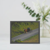 Carte Postale ~ Été dans le comté de Lancaster ~ 3 (Debout devant)