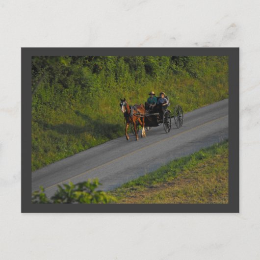 Carte Postale ~ Été dans le comté de Lancaster ~ 3 (Devant)