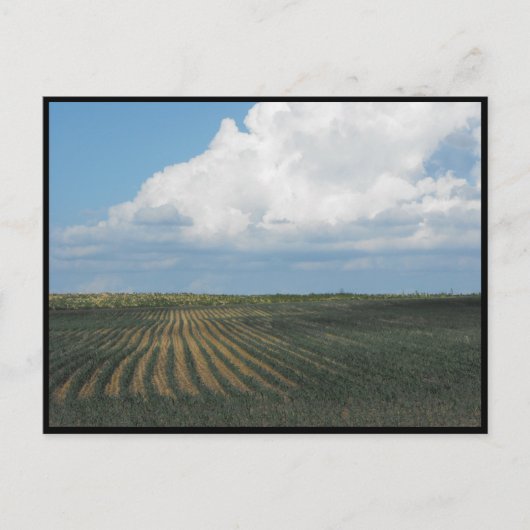 Carte Postale ~ Été dans le comté de Lancaster ~ 34 (Devant)