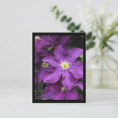 Carte Postale ~ Été dans le comté de Lancaster ~ 39 (Debout devant)