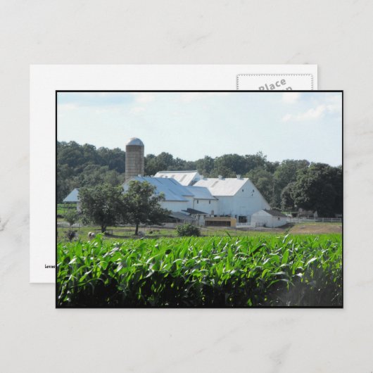 Carte Postale ~ Été dans le comté de Lancaster ~ 46 (Devant / Derrière)