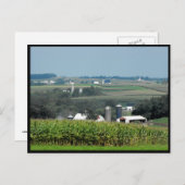 Carte Postale ~ Été dans le comté de Lancaster ~ 62 (Devant / Derrière)