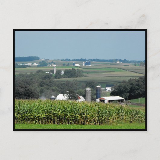 Carte Postale ~ Été dans le comté de Lancaster ~ 62 (Devant)