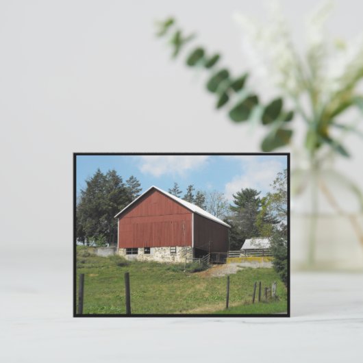 Carte Postale ~ Été dans le comté de Lancaster ~ 63 (Debout devant)