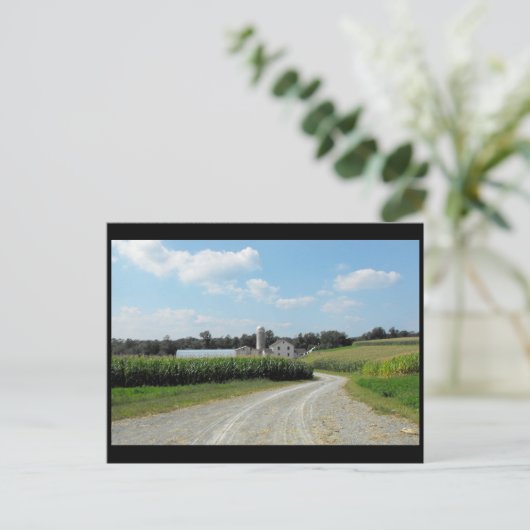 Carte Postale ~ Été dans le comté de Lancaster ~ 64 (Debout devant)