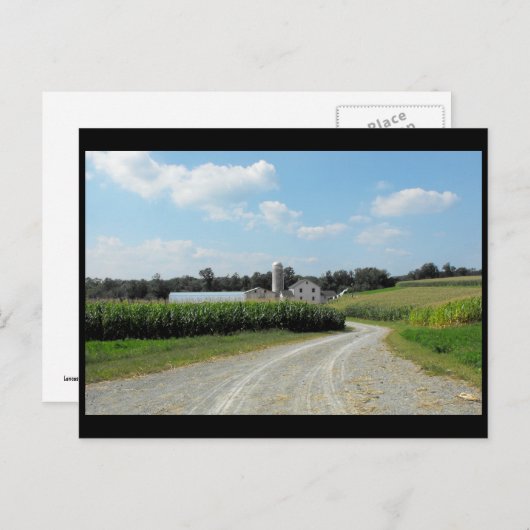 Carte Postale ~ Été dans le comté de Lancaster ~ 64 (Devant / Derrière)