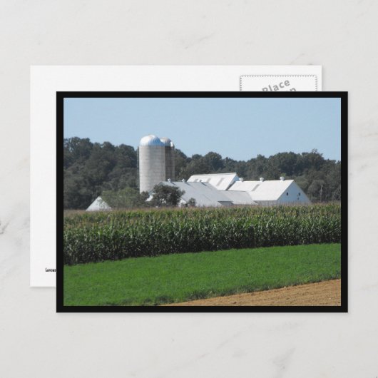 Carte Postale ~ Été dans le comté de Lancaster ~ 70 (Devant / Derrière)