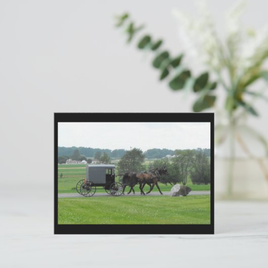 Carte Postale ~ Été dans le comté de Lancaster ~ 72 (Debout devant)