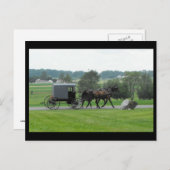 Carte Postale ~ Été dans le comté de Lancaster ~ 72 (Devant / Derrière)