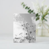 Carte Postale Été de fleurs sauvages (Debout devant)