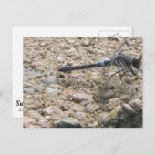 Carte Postale Été de vie (Devant / Derrière)