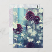 Carte Postale Été gelé (Devant / Derrière)