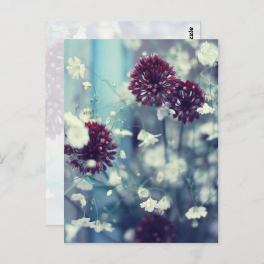 Carte Postale Été gelé (Devant / Derrière)