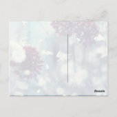 Carte Postale Été gelé (Dos)