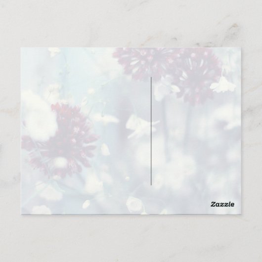 Carte Postale Été gelé (Dos)