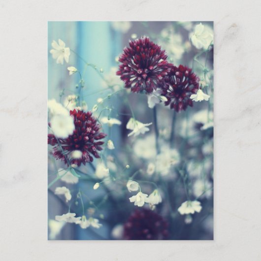 Carte Postale Été gelé (Devant)