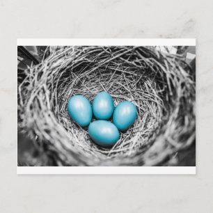 Carte Postale Éteins