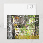 Carte Postale Éteins-toi (Devant / Derrière)