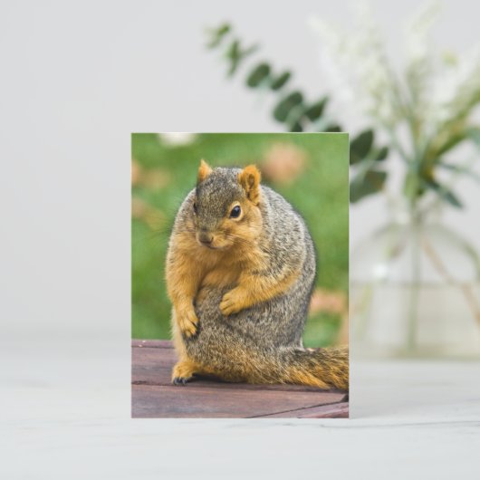 Carte Postale Étendue (Debout devant)